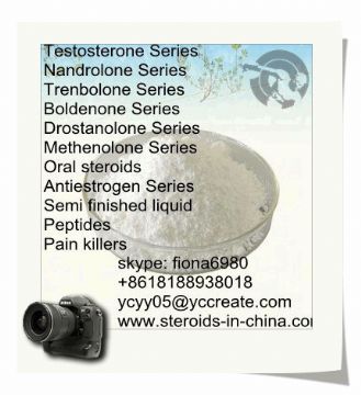 Testosterone Undecanoate Oral Steroids Powder For Increased Bone Density